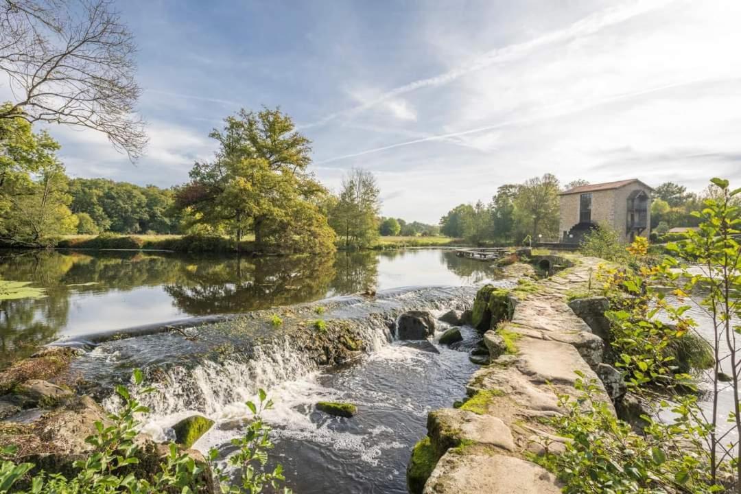 Gite La Dortiere S'Amuse, Magnifique Maison De Maitre 12Min Du Puy Du Fo Villa Sevremont Luaran gambar